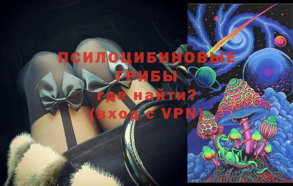 герыч Алексин