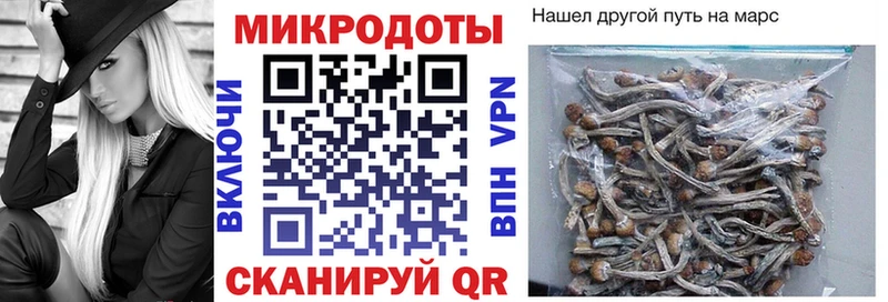 Псилоцибиновые грибы MAGIC MUSHROOMS  Октябрьский 